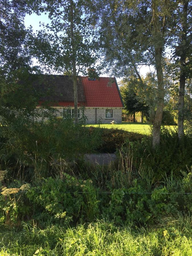 B&B Ut En Thus Sweagerbosk Kültér fotó